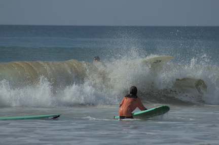 IMG 8639